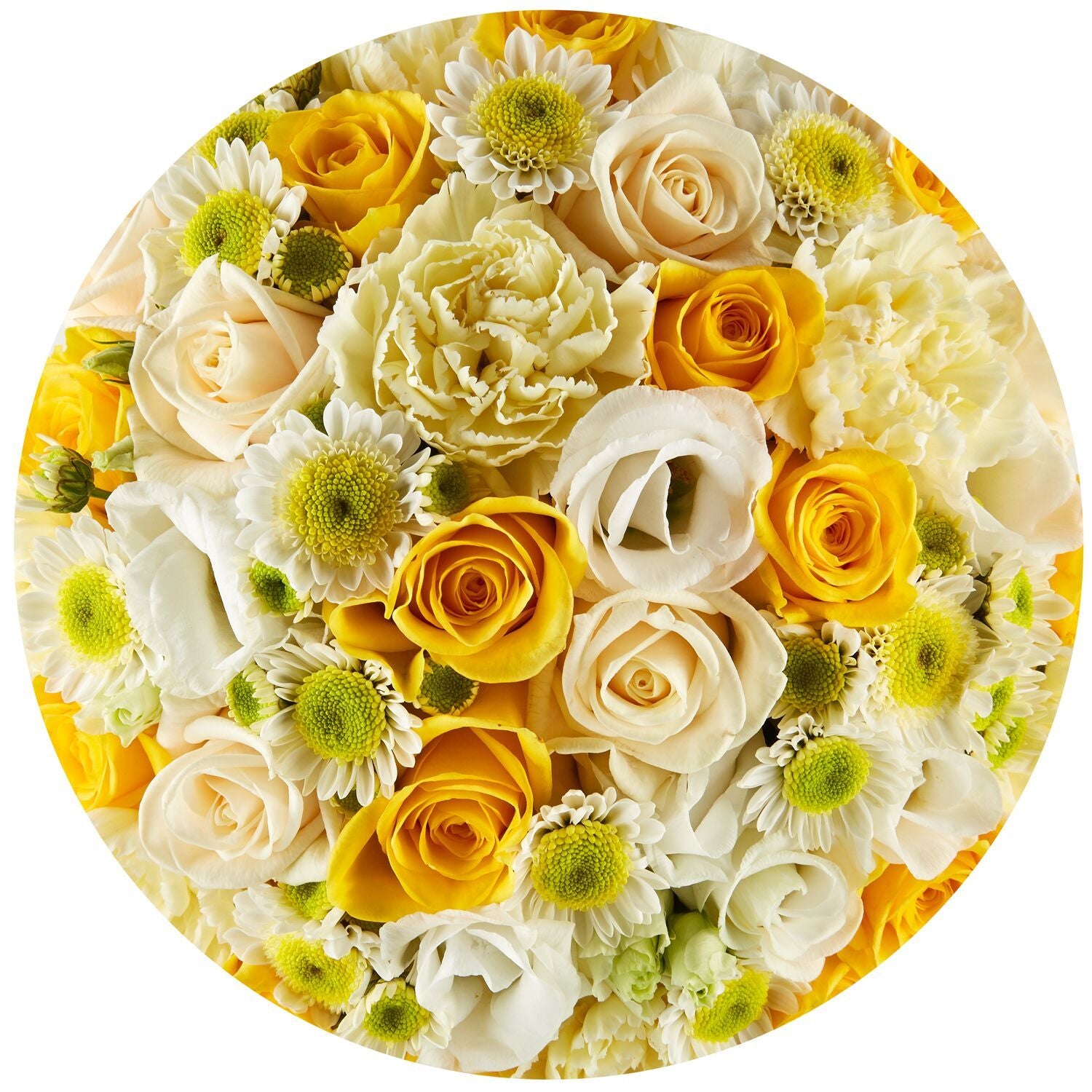 flori naturale in cutie, aranjament trandafiri in cutie, trandafiri si flori naturale, aranjament flori in cutie