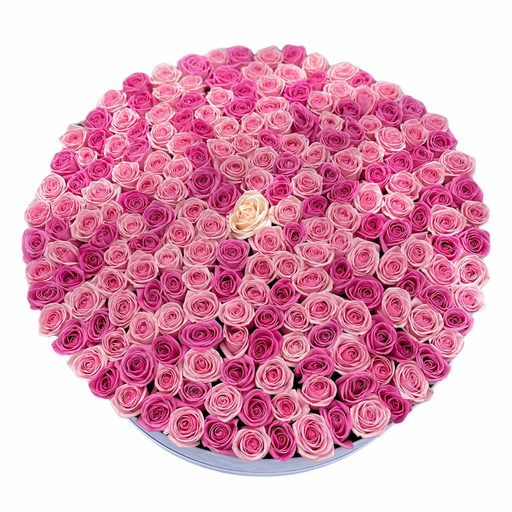 301 fire de trandafiri naturali-The Million Luxury