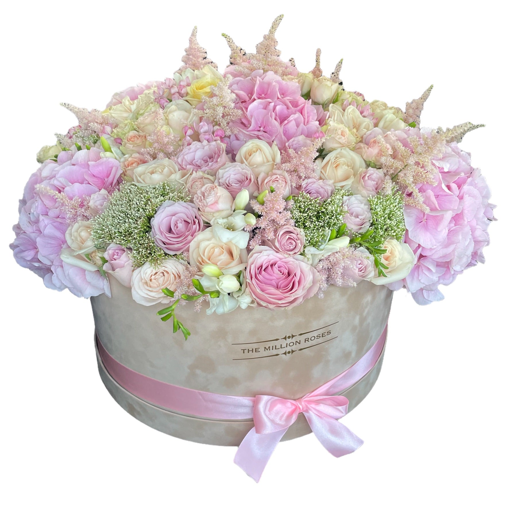 SHADES OF PINK  - CUTIE GIGANTA