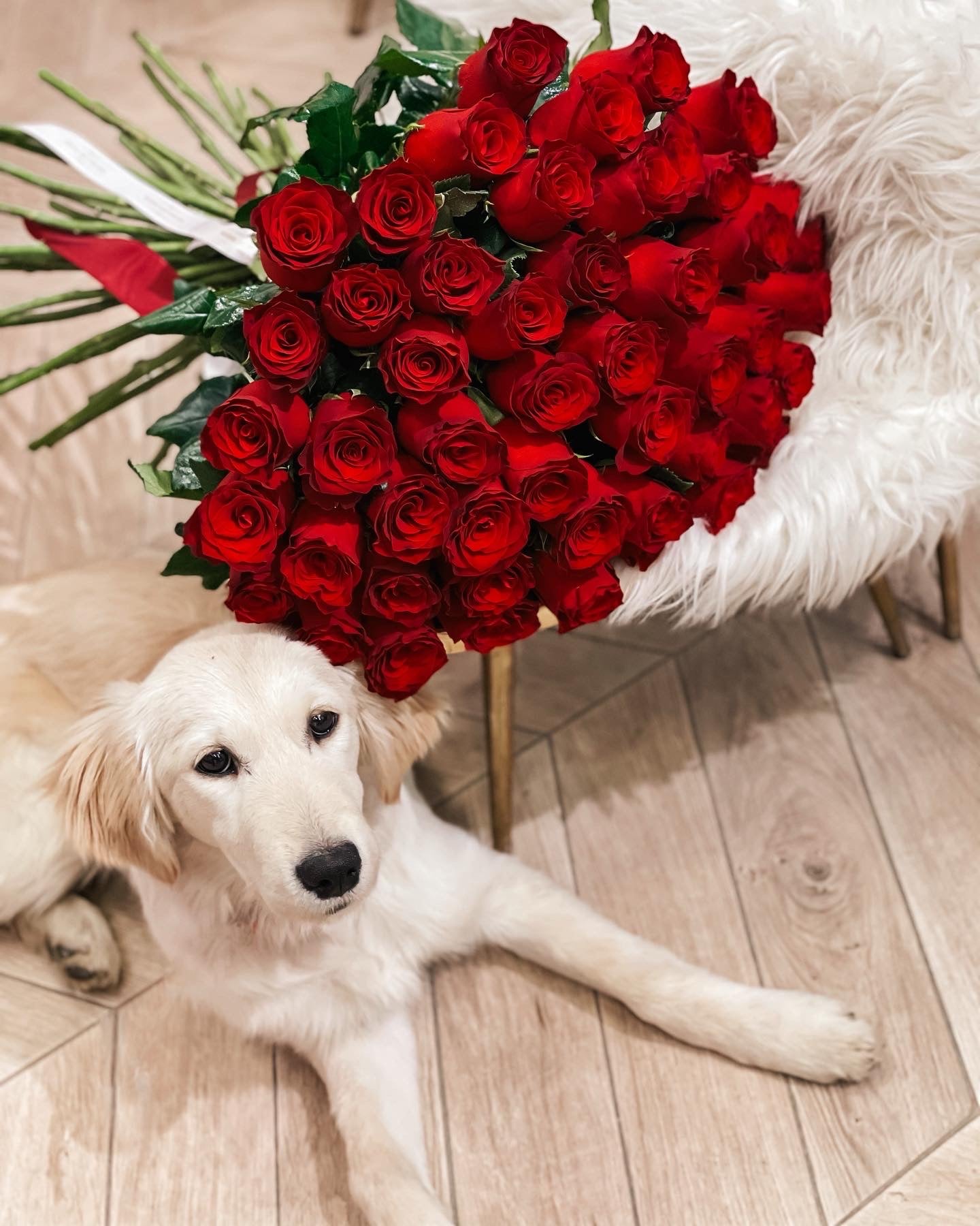 Buchet trandafiri roșii - Be my Valentine