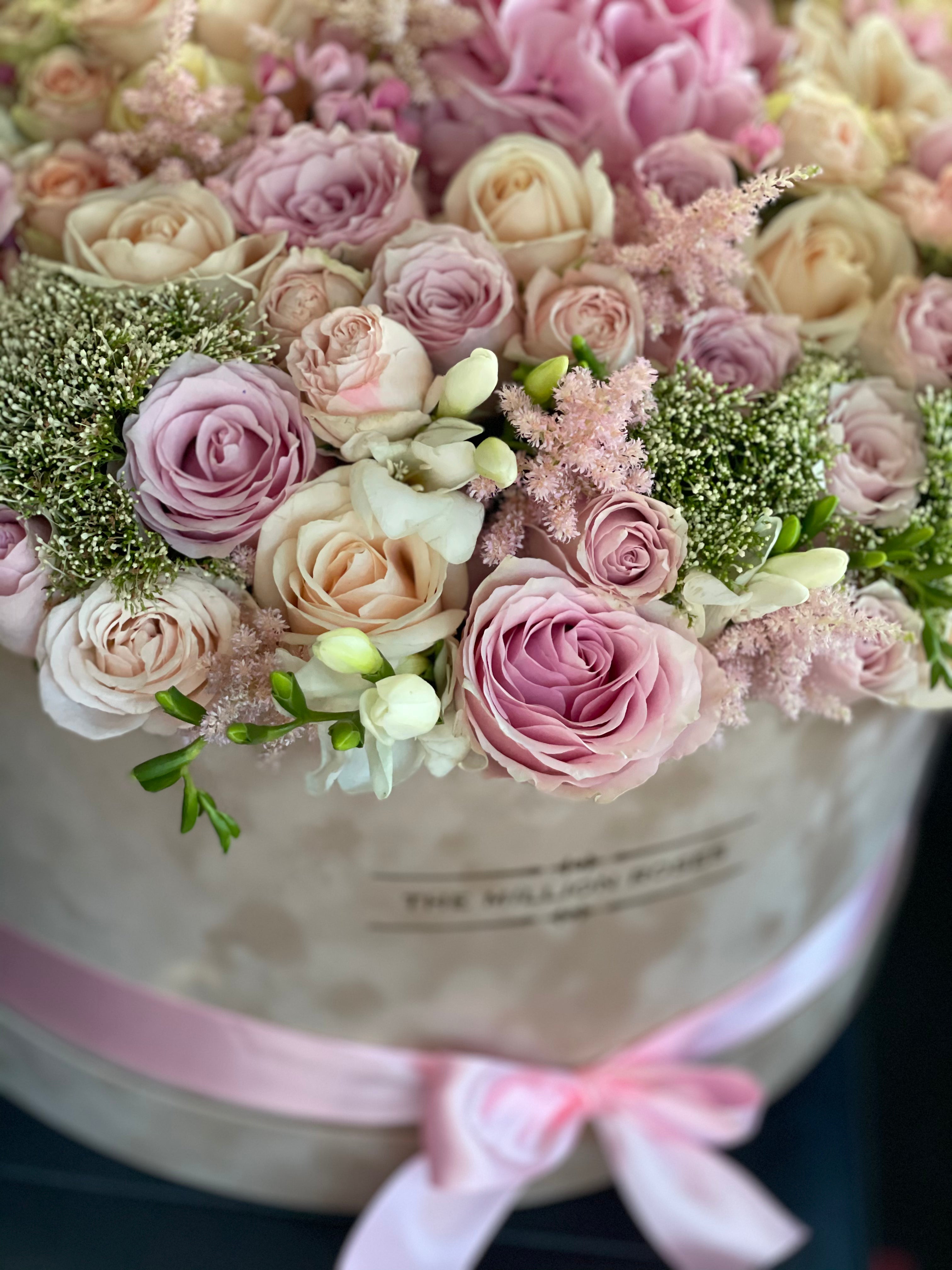 SHADES OF PINK  - CUTIE GIGANTA