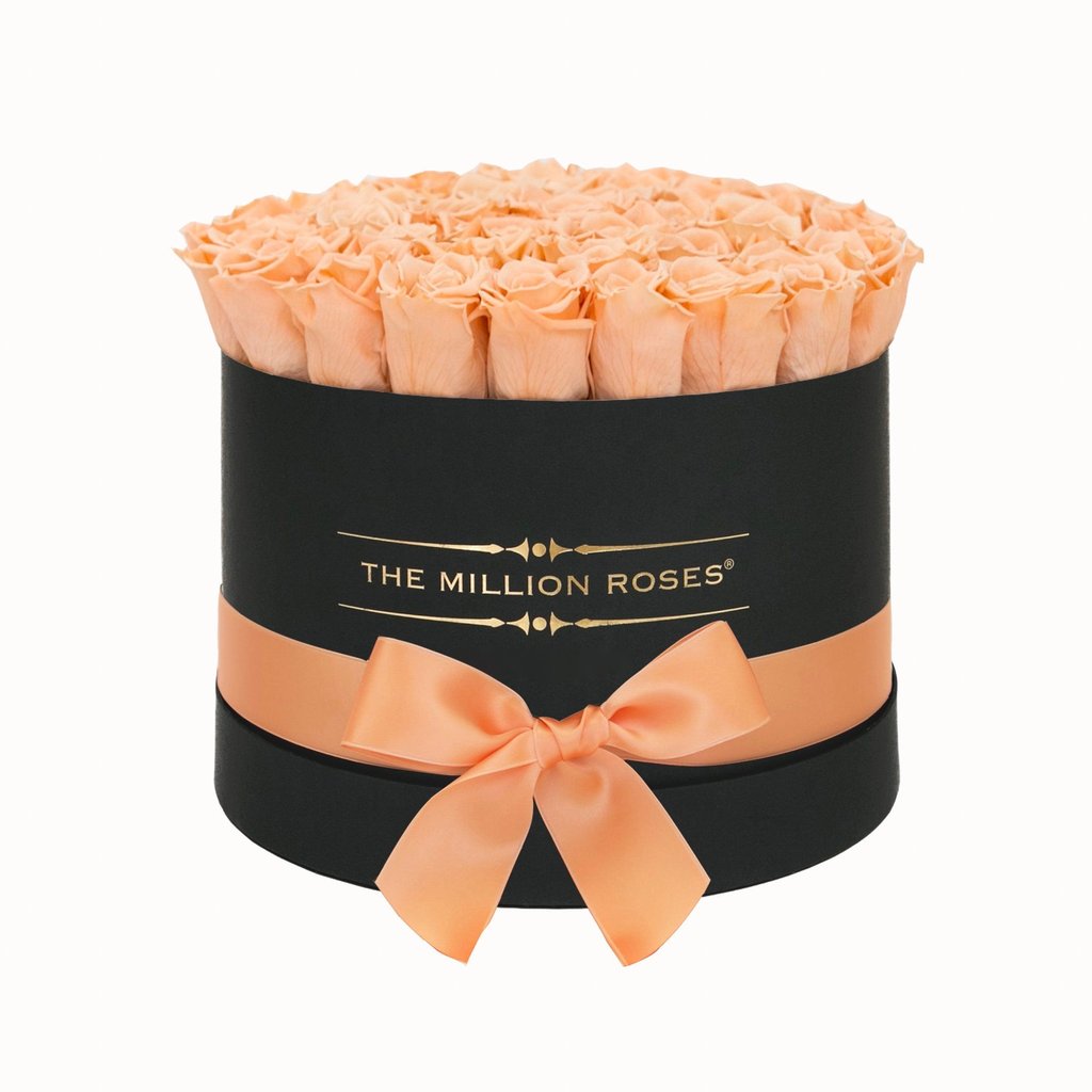 TRANDAFIRI CRIOGENAȚI SOMON ÎN CUTIE NEAGRĂ MEDIE