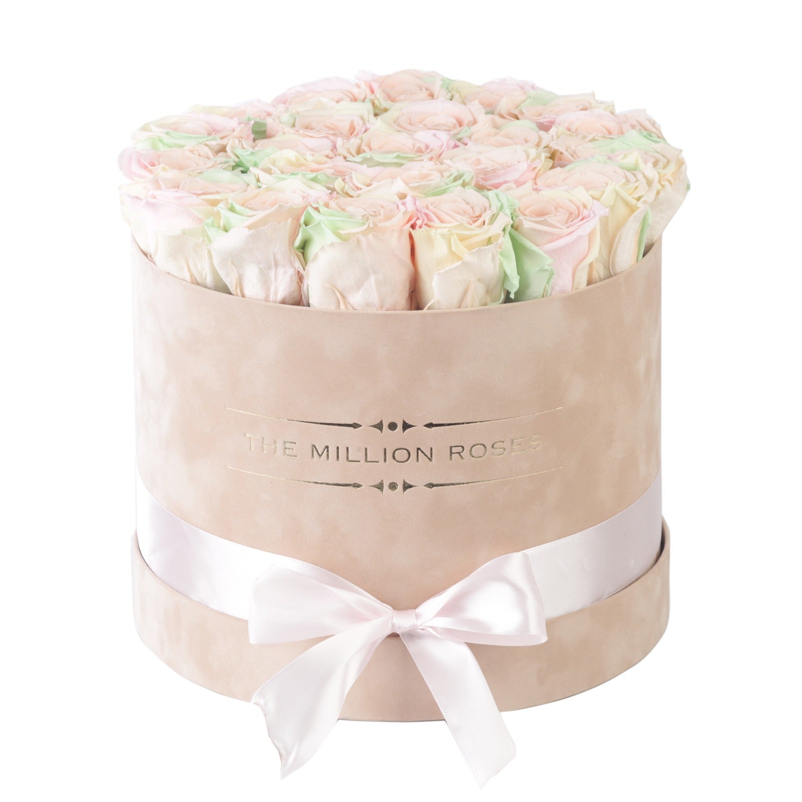 Aranjament de trandafiri criogenati Rainbow Nude- cutie medie de catifea crem