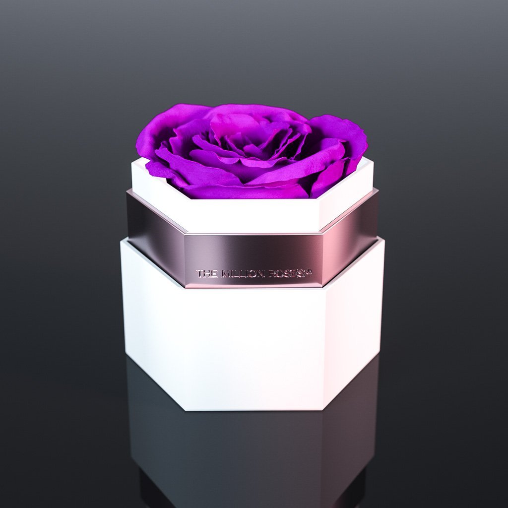 One in a Million - Trandafir criogenat mov inchis