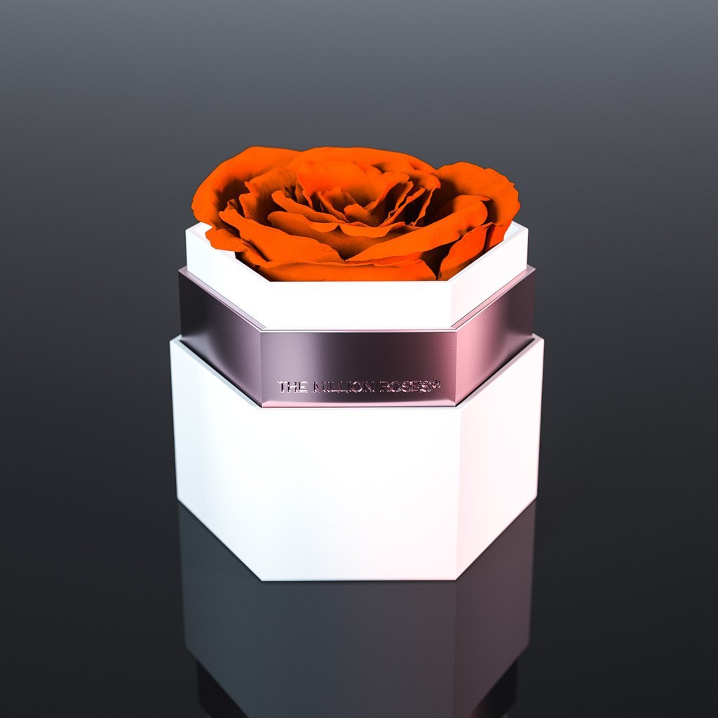 One in a Million - Trandafir criogenat portocaliu