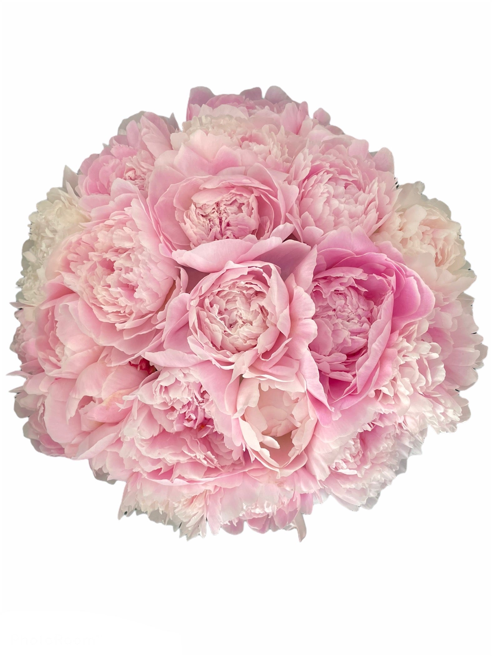 Aranjament de bujori - Tiffany collection - Cutie mică