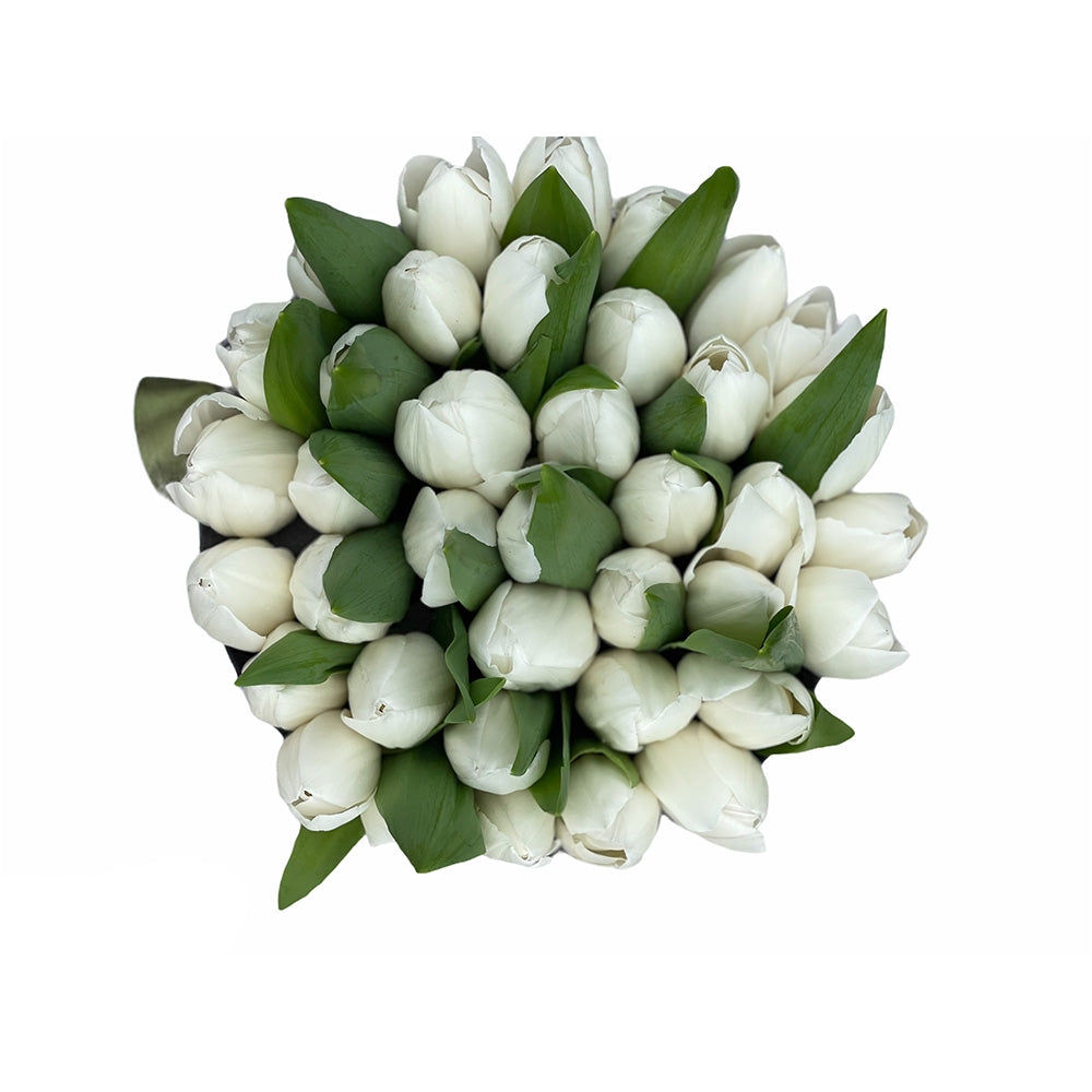 BUCHET DE LALELE ALBE IN CUTIE NEAGRA