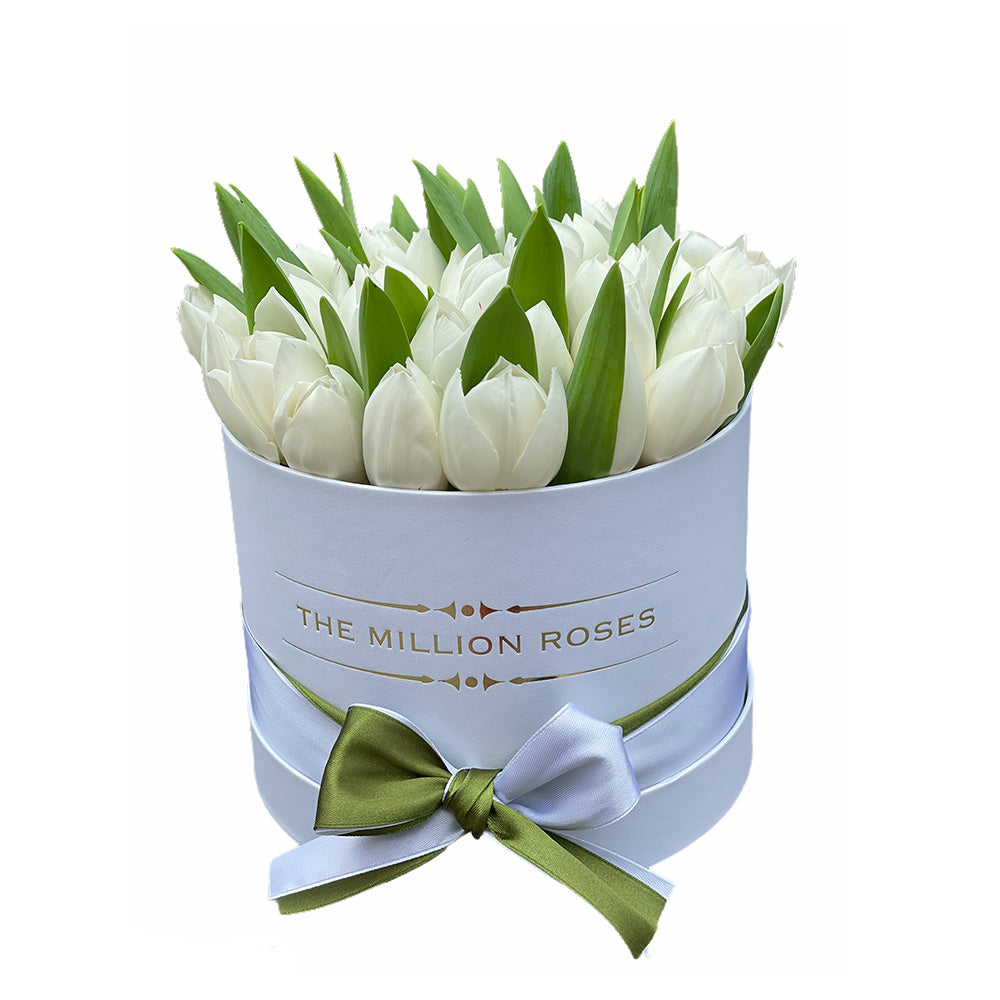 BUCHET DE LALELE ALBE IN CUTIE NEAGRA