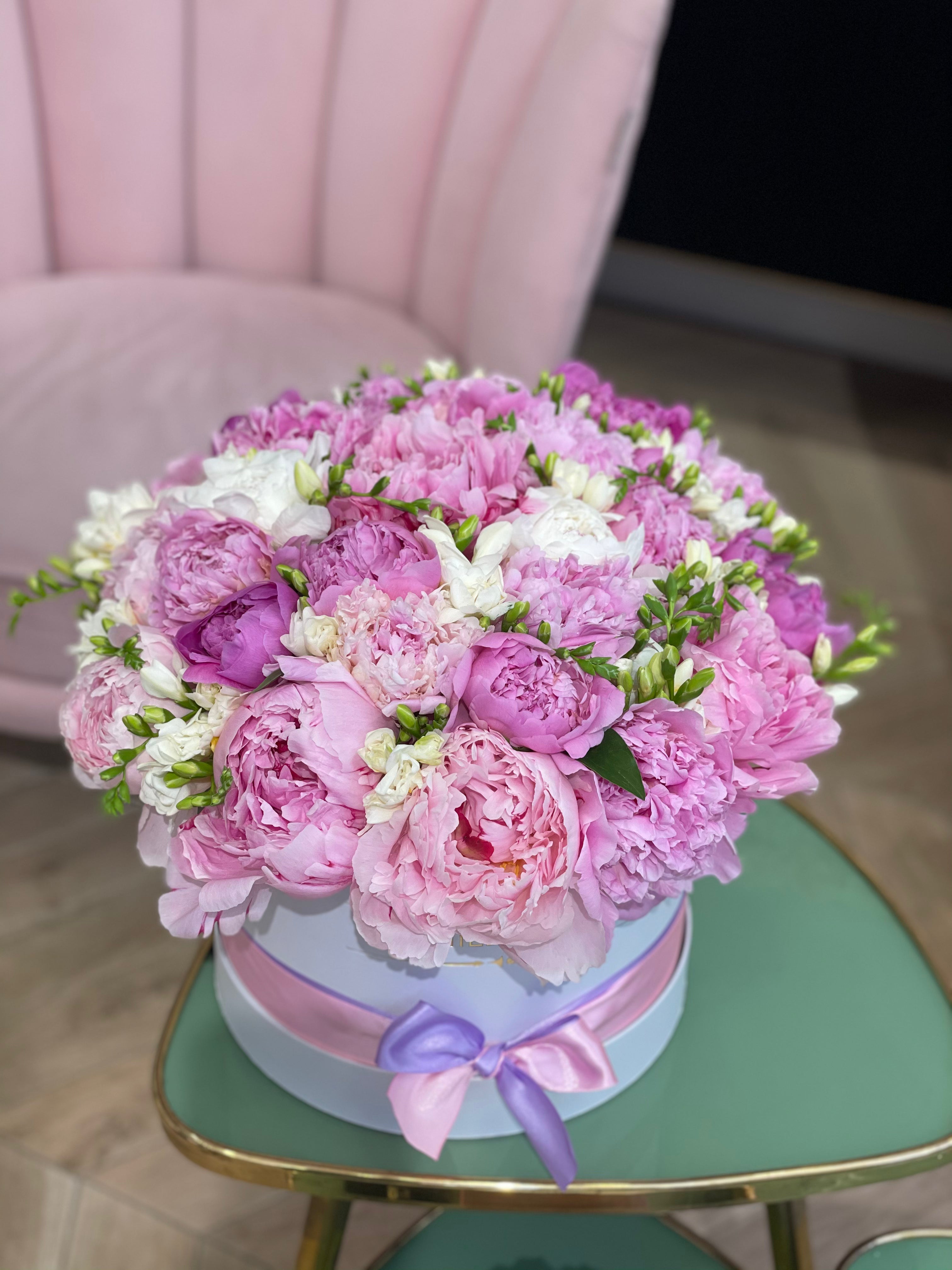 BUJORI & FREZII - CUTIE MEDIE