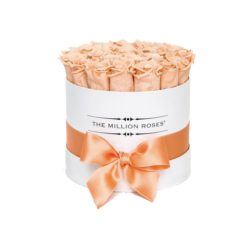 TRANDAFIRI CRIOGENAȚI SOMON ÎN CUTIE ALBĂ MICĂ