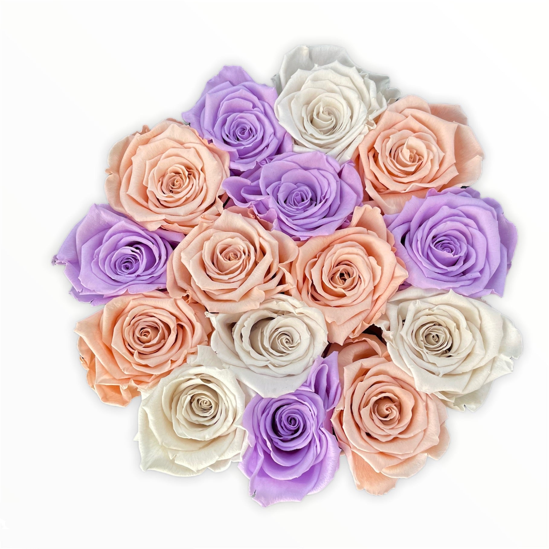 Trandafiri criogenati in cutie mica -Princess