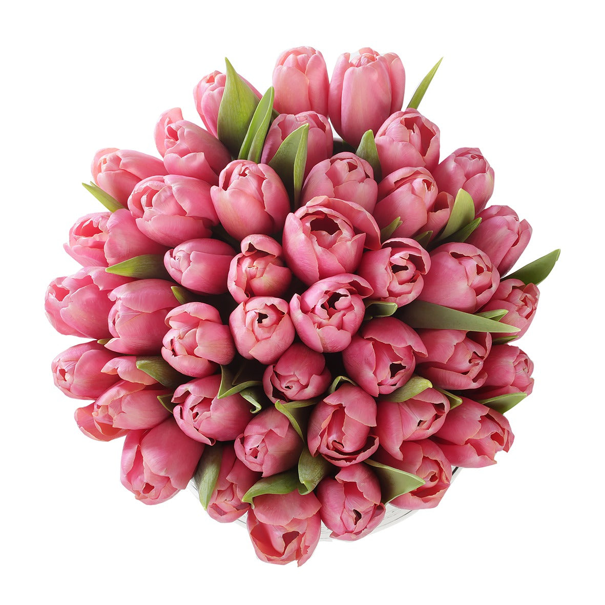 Lalele roz in cutie - Baby pink