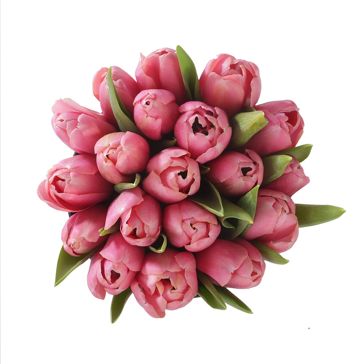 Lalele roz in cutie - Basic collection