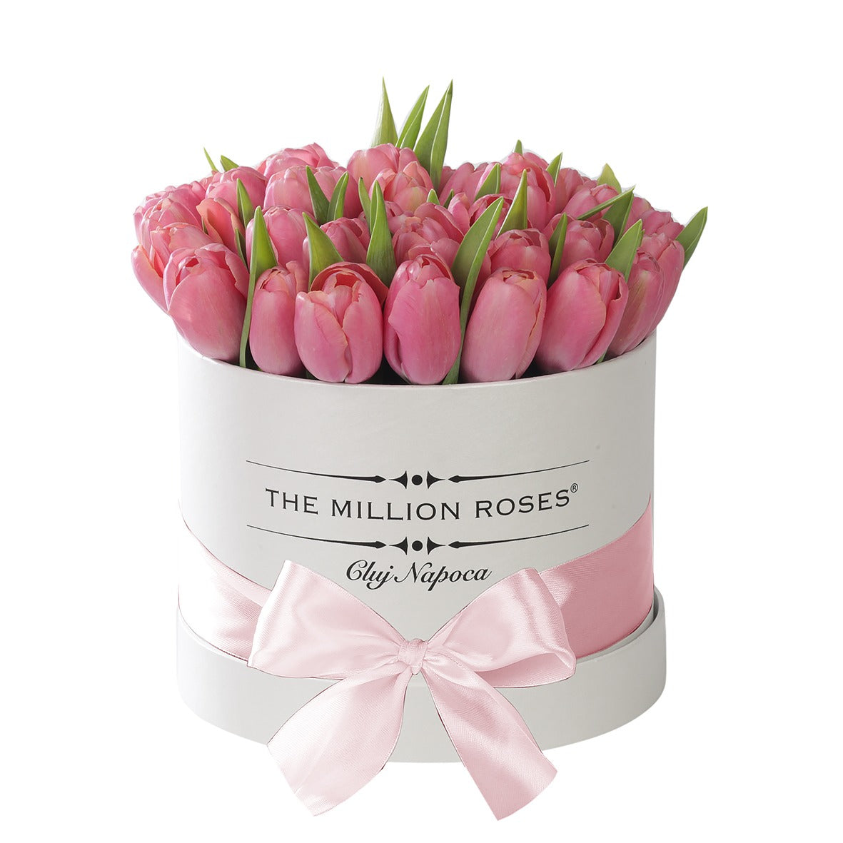 lalele in cutie, lalele de lux, lalele inalta calitate, florarie online