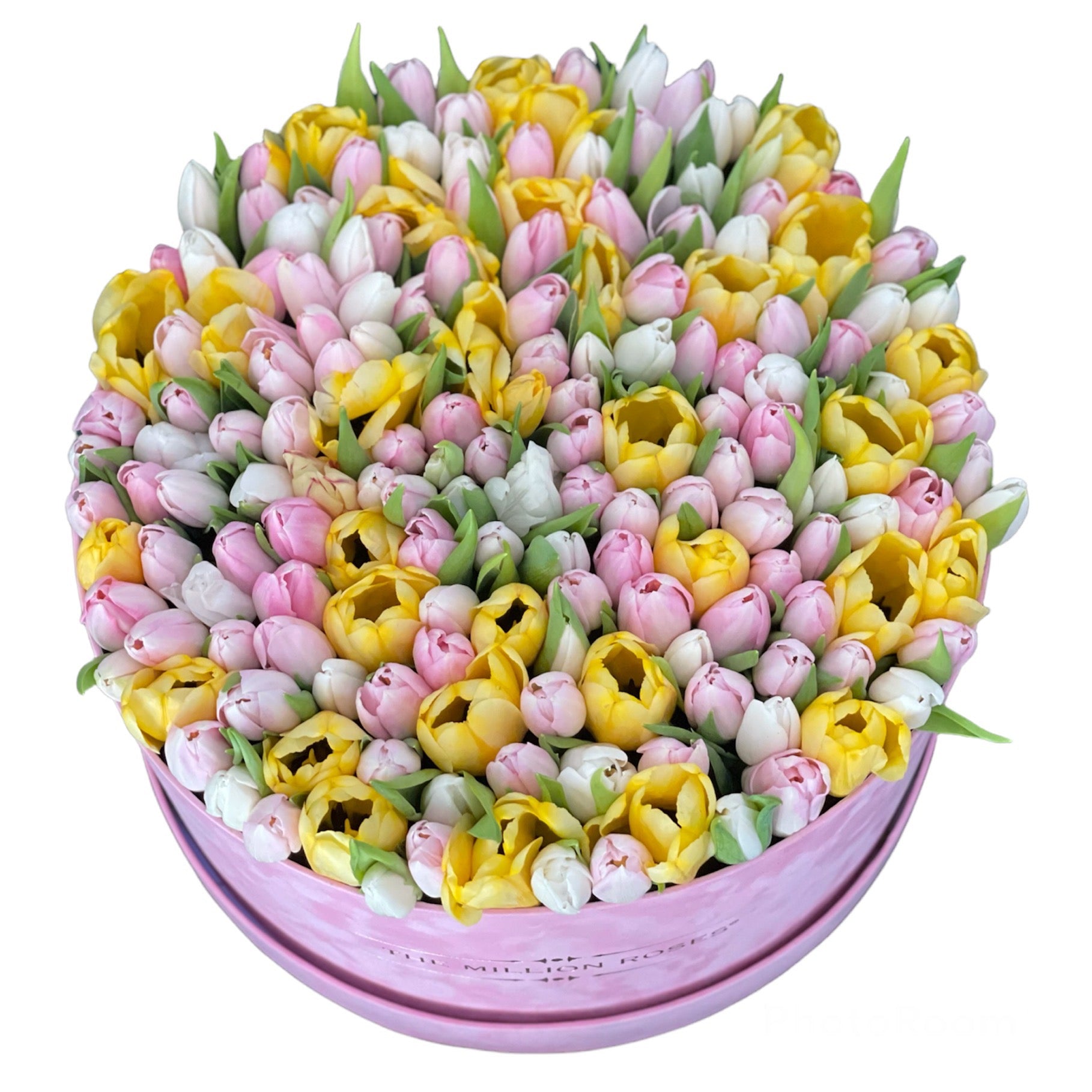 Lalele mixte in cutie premium de catifea-Editia luxury