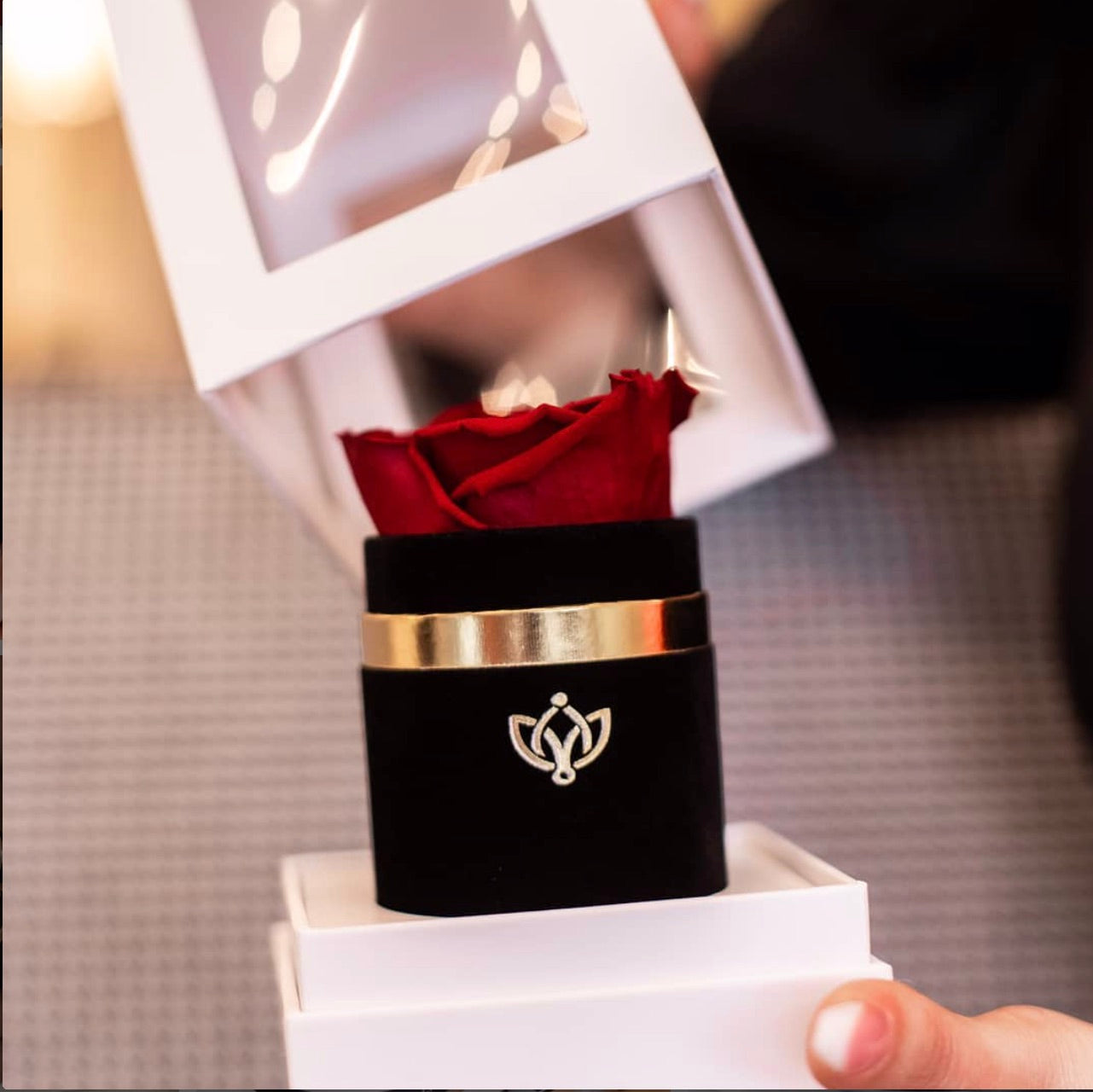 One in a million - Trandafir criogenat- Deluxe