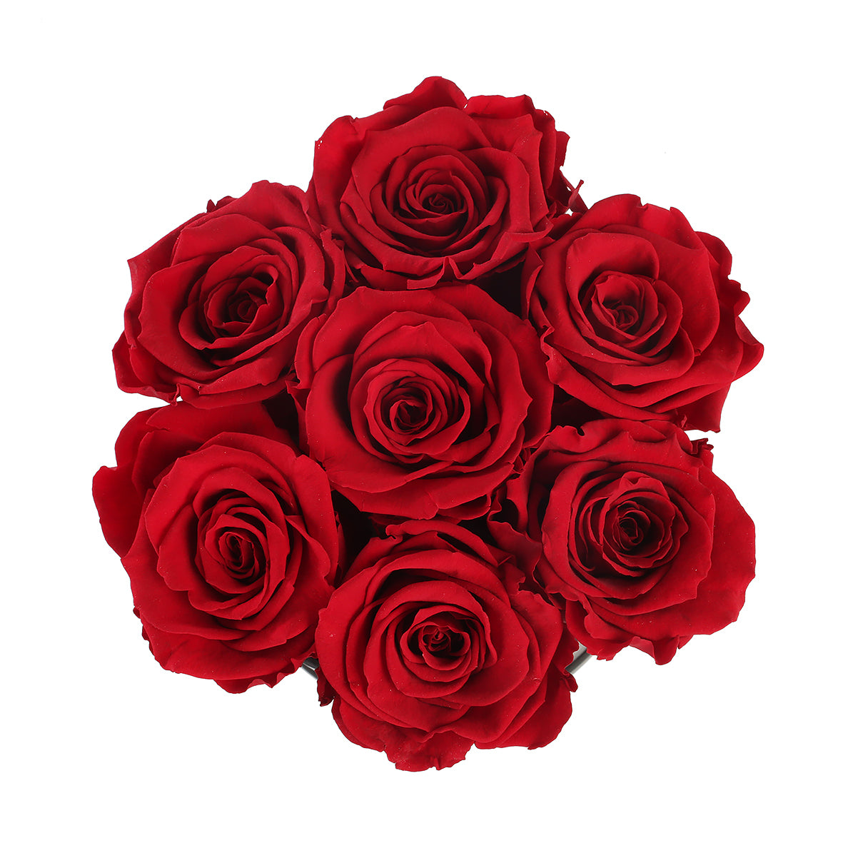 TRANDAFIRI CRIOGENAȚI ROSII ÎN CUTIE VANILLA CREM ‘THE MILLION BASIC’