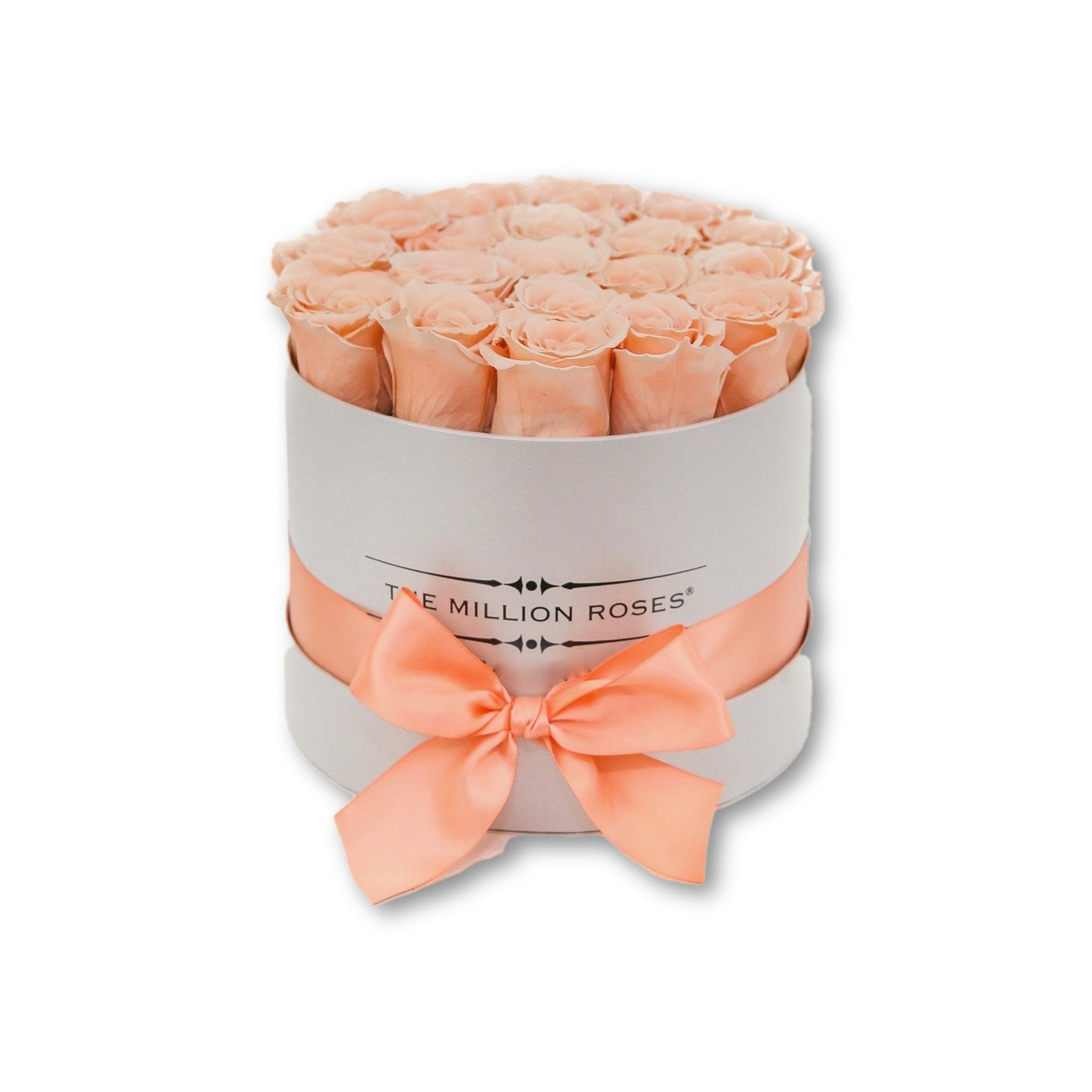 Trandafiri criogenati somon -Cutie mica alba