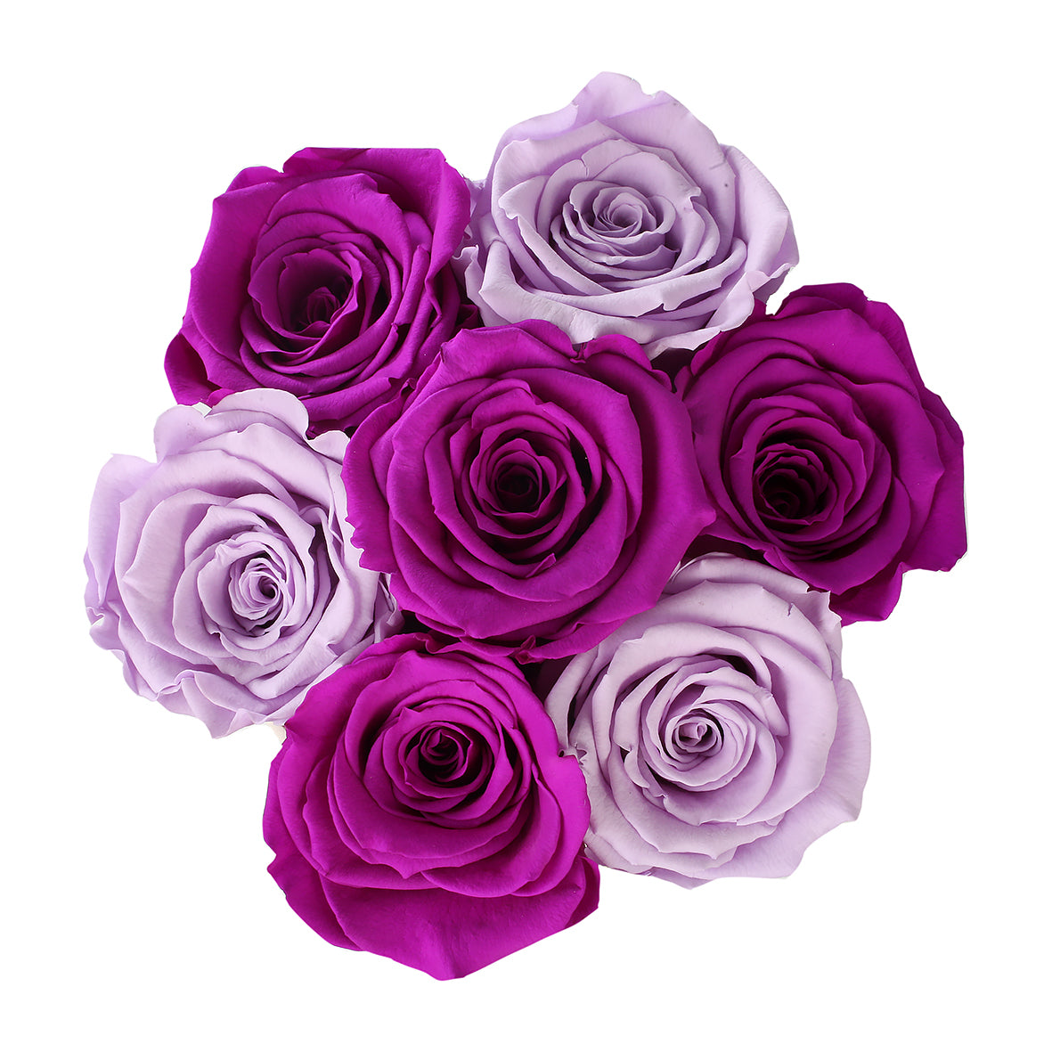 TRANDAFIRI CRIOGENAȚI MOV SI MOV INCHIS ÎN CUTIE VANILLA CREM ‘THE MILLION BASIC’