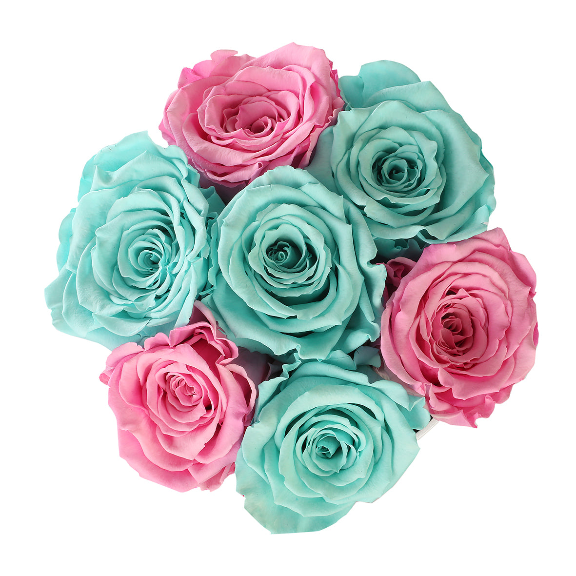 TRANDAFIRI CRIOGENAȚI ROZ SI ALBASTRI TIFFANY ÎN CUTIE VANILLA CREM ‘THE MILLION BASIC’