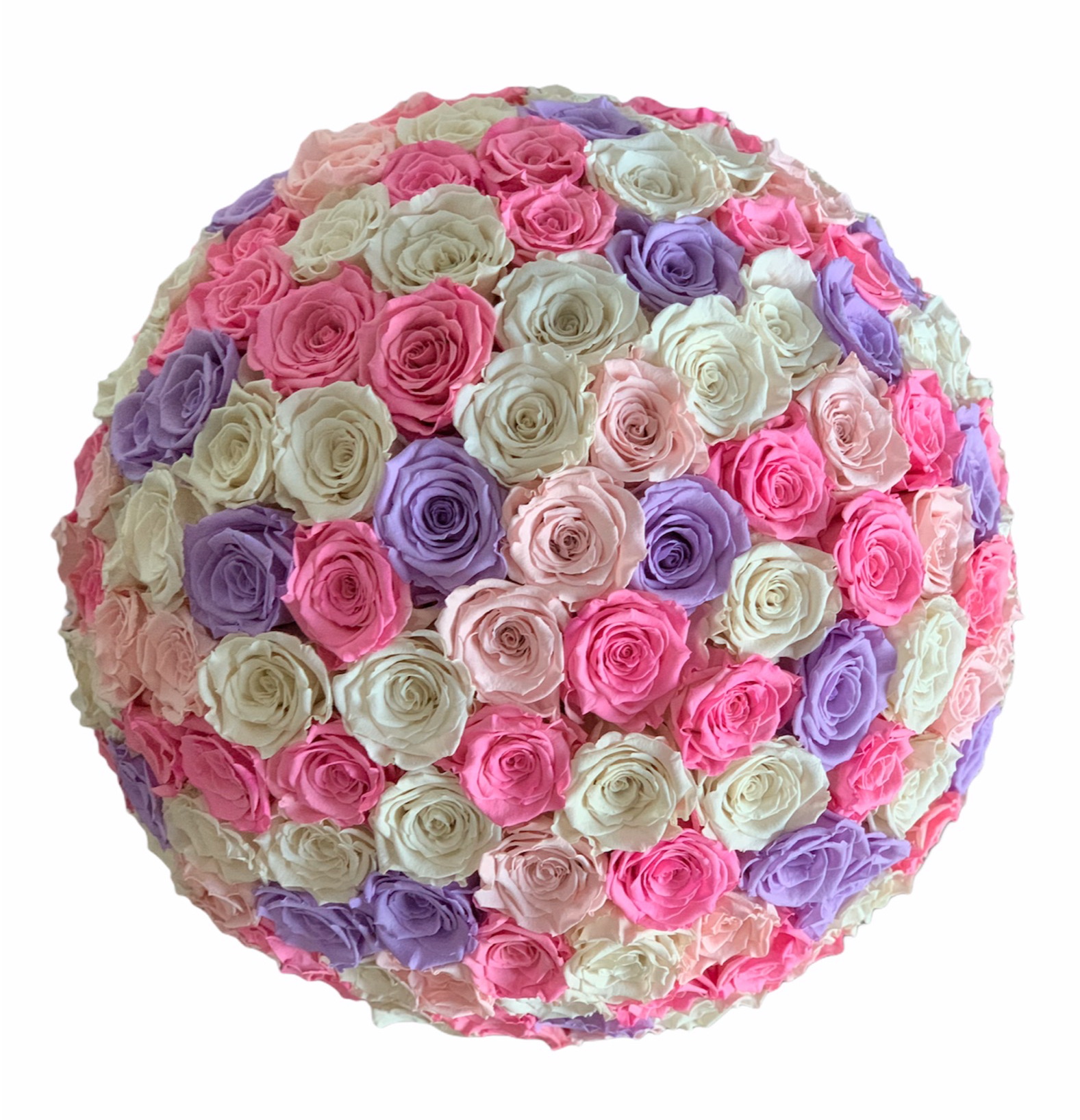 CUTIE GIGANTĂ CU TRANDAFIRI CRIOGENAȚI 'THE MILLION LUXURY' - colectia princess