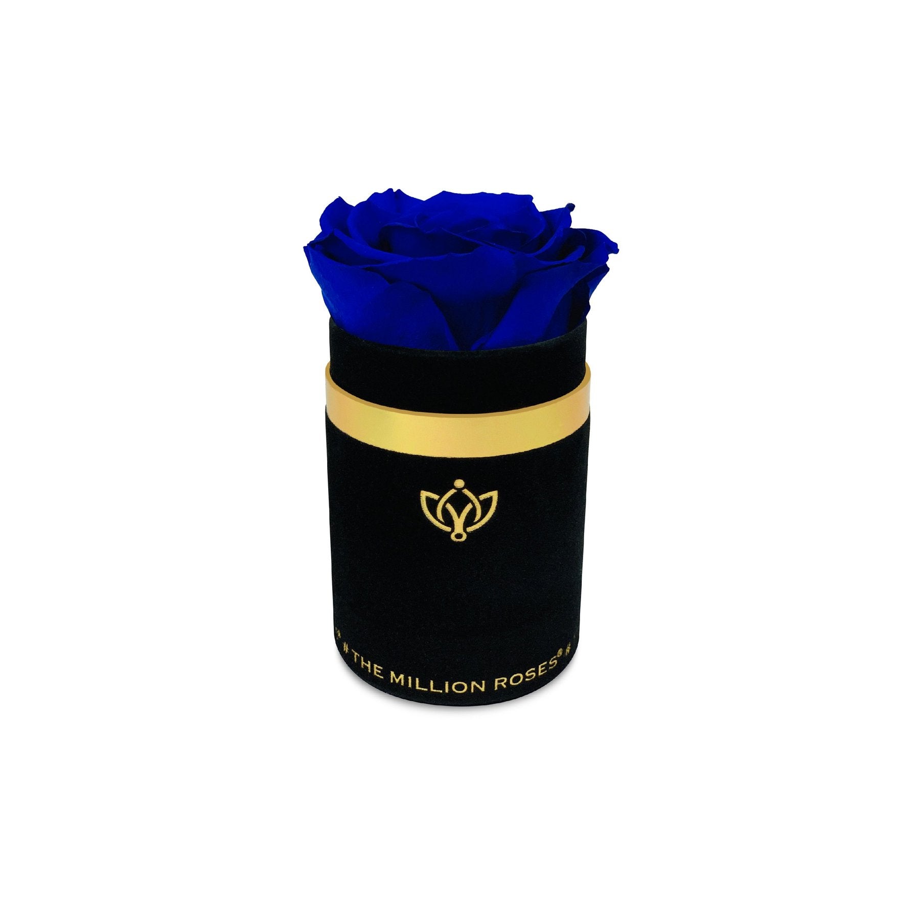 One in a million - Trandafir criogenat- Deluxe