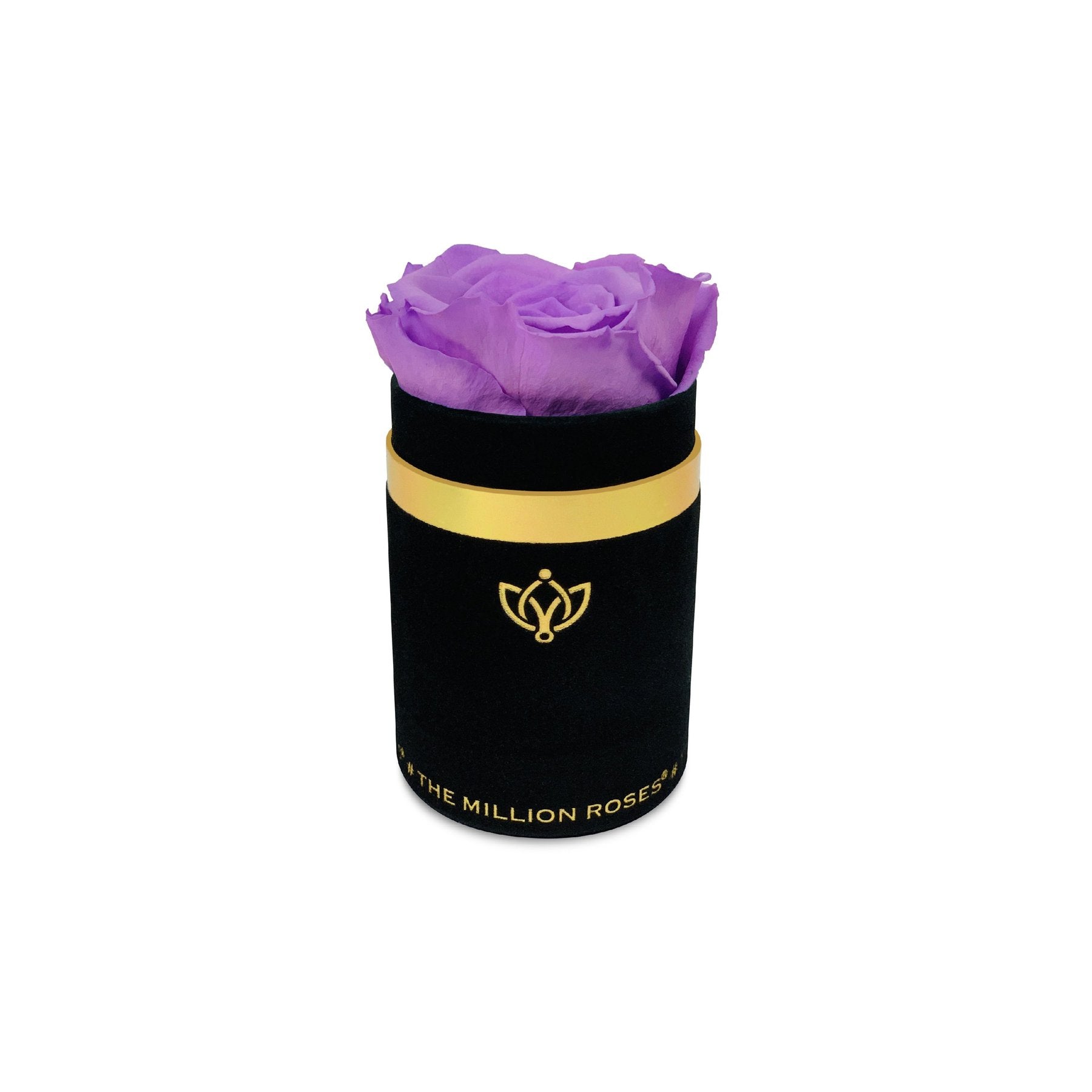 One in a million - Trandafir criogenat- Deluxe