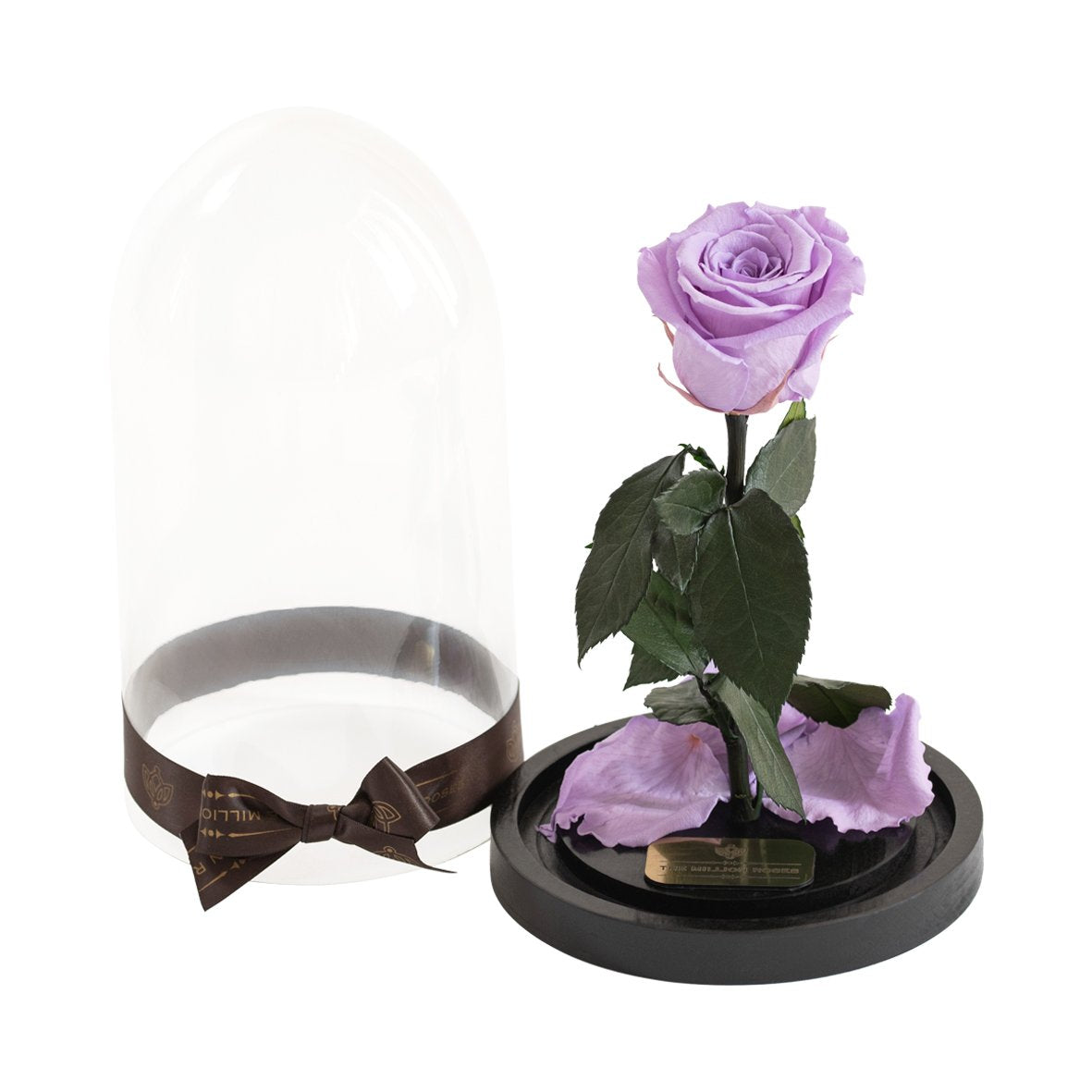 Trandafir criogenat în cupola de sticlă