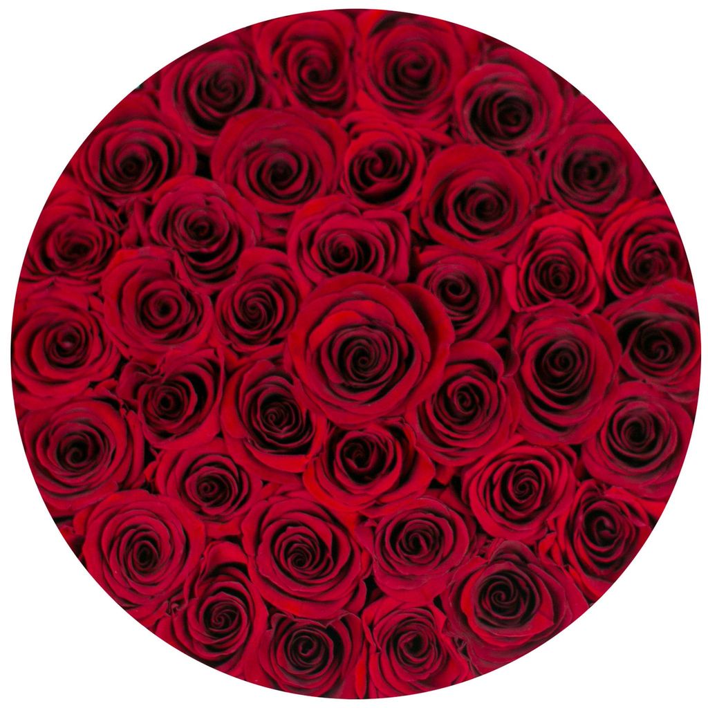 EDIȚIE LIMITATĂ LOVE - TRANDAFIRI CRIOGENAȚI ROȘII ÎN CUTIE MEDIE