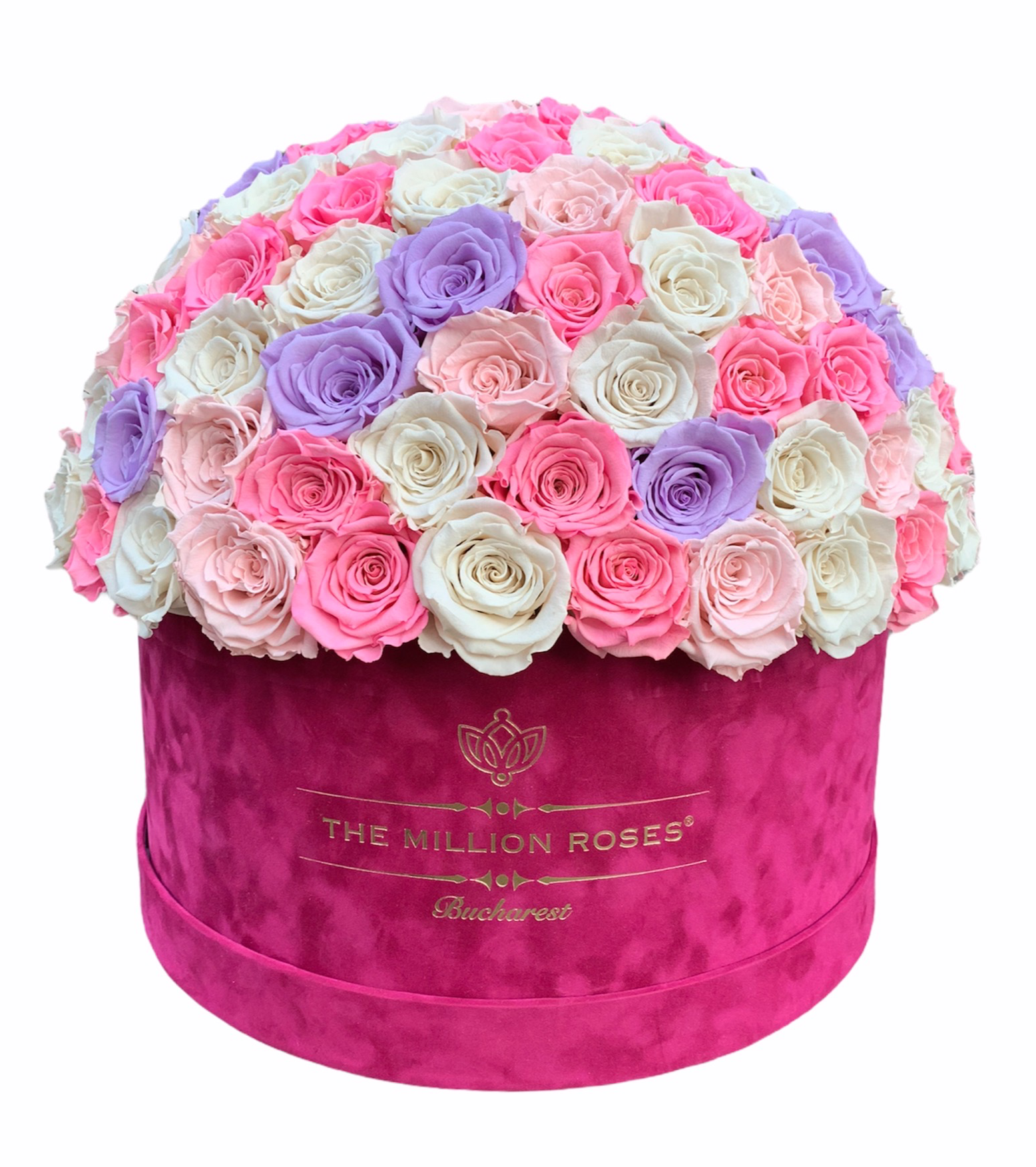 CUTIE GIGANTĂ CU TRANDAFIRI CRIOGENAȚI 'THE MILLION LUXURY' - colectia princess