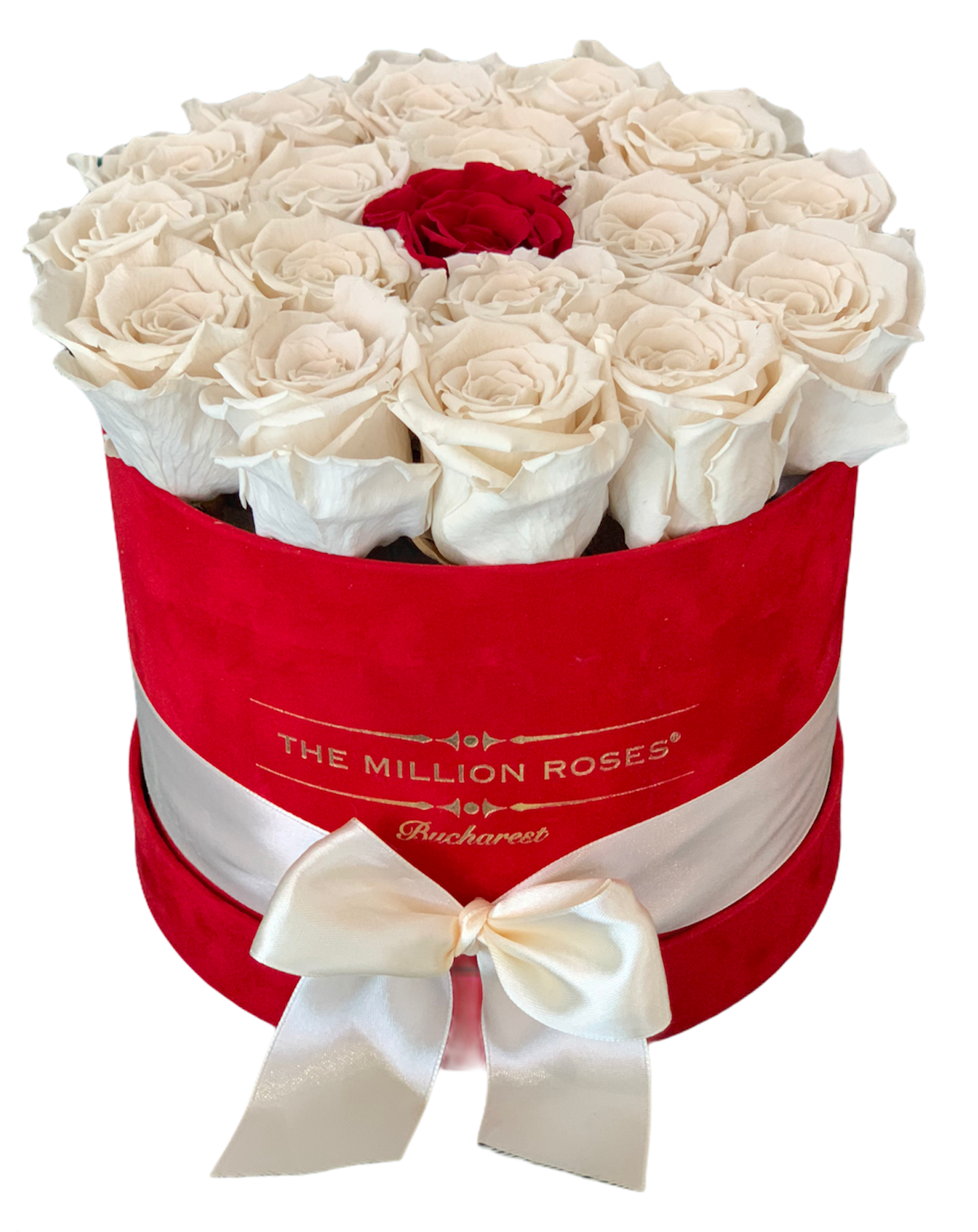 TRANDAFIRI CRIOGENATI ALBI CU UN TRANDAFIR ROSU IN CUTIE DE CATIFEA