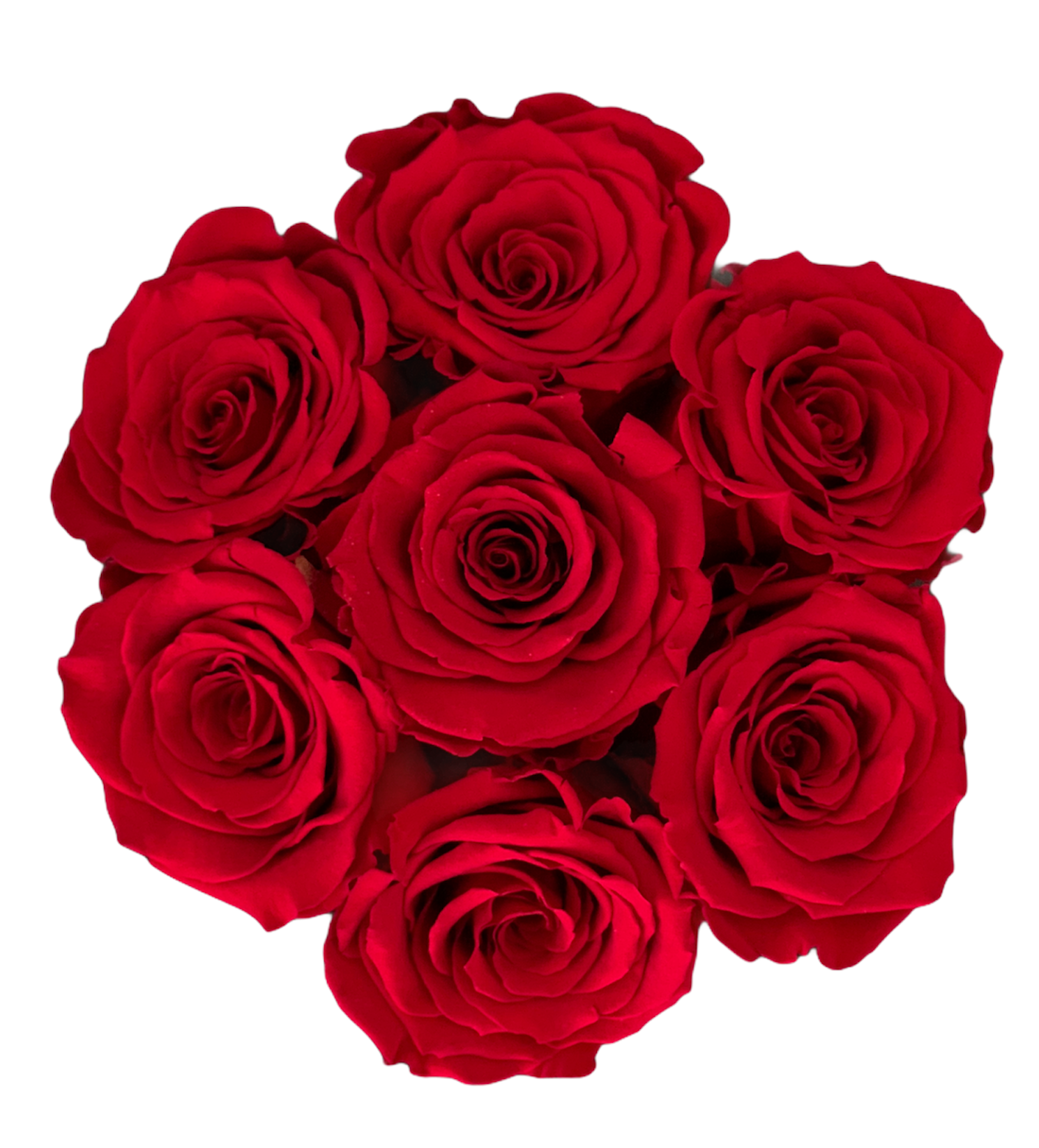 TRANDAFIRI CRIOGENATI ROSII IN CUTIE DE CATIFEA