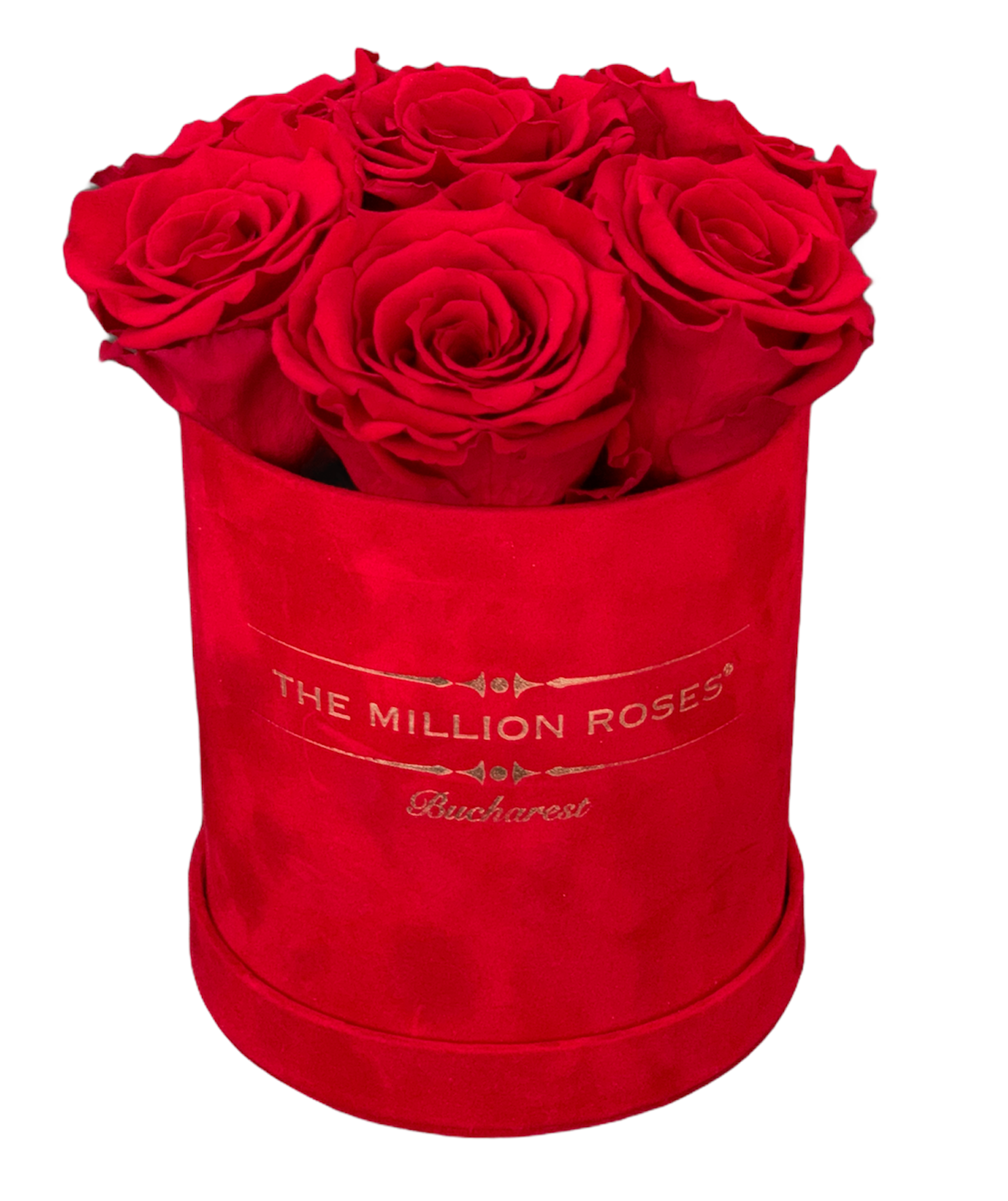 TRANDAFIRI CRIOGENATI ROSII IN CUTIE DE CATIFEA